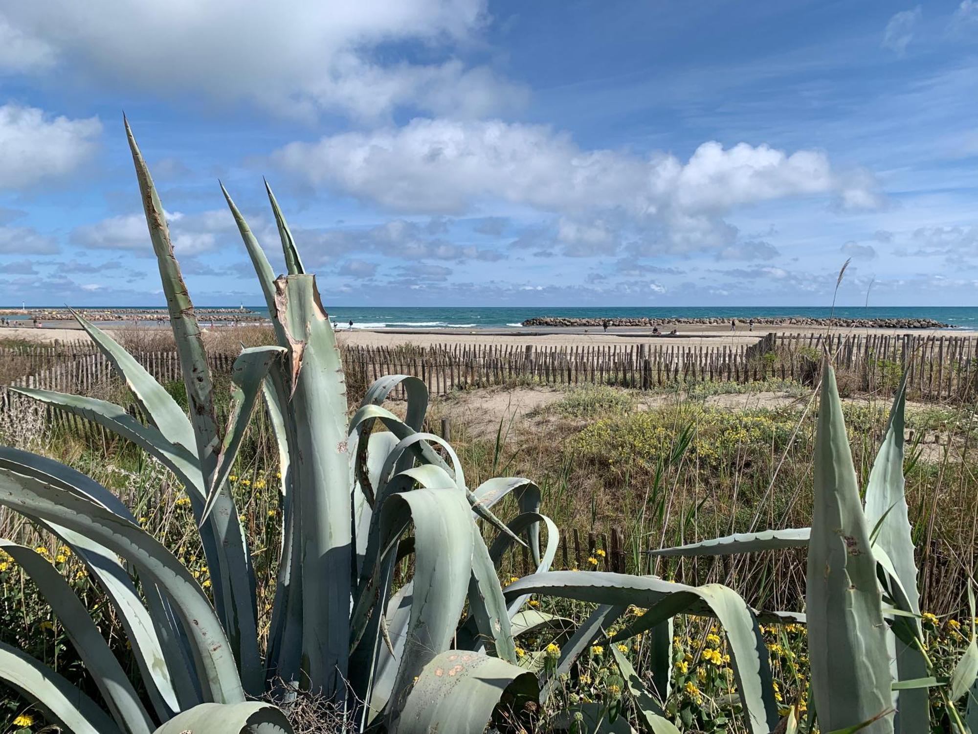 Sète - Fewo mit Meerblick, Schwimmbad Exterior foto